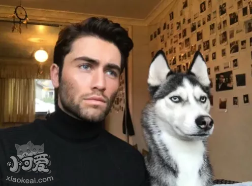 都说宠物像主人，这背后是有道理的？