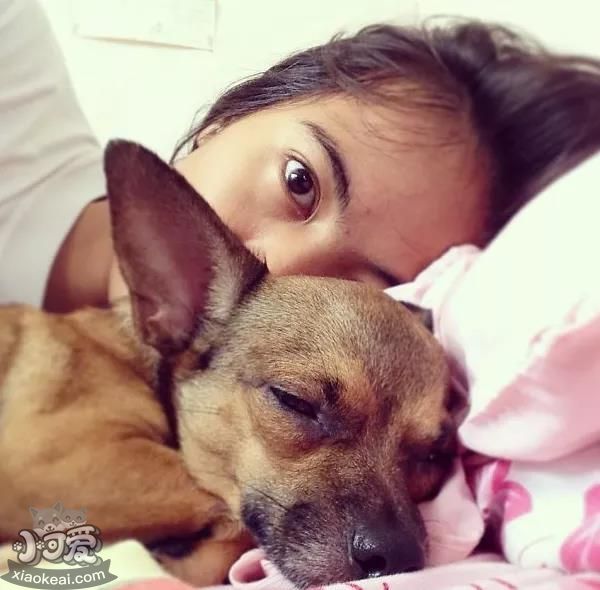 都说宠物像主人，这背后是有道理的？