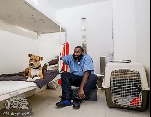 都说宠物像主人，这背后是有道理的？