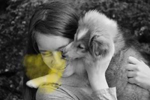 毛孩子皮肤溃烂、骨折，竟是铲屎官没做这件事...