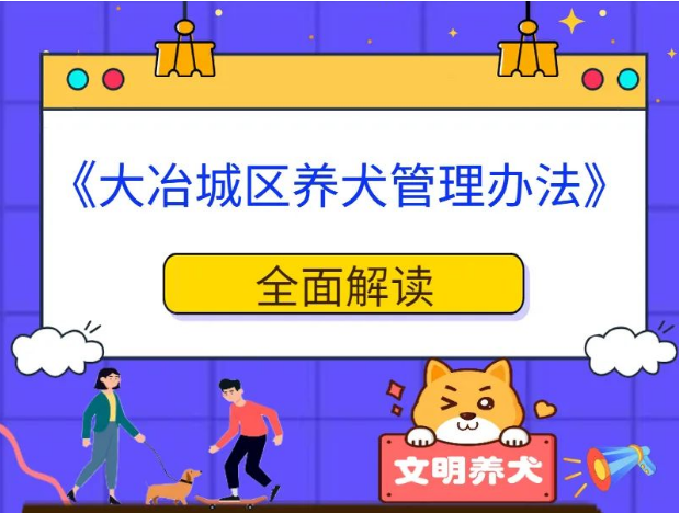 【养犬必看】《大冶城区养犬管理办法》权威解读