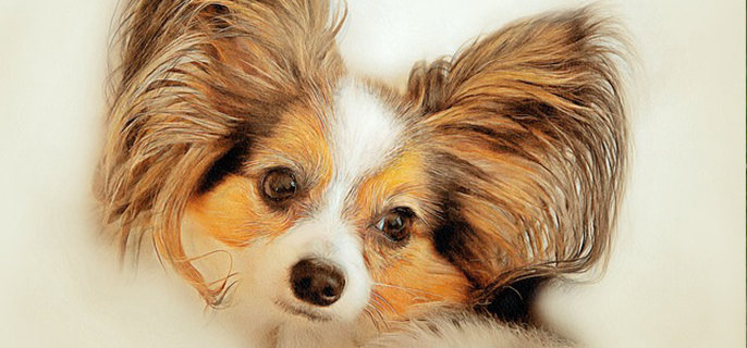 狗能喝过期牛奶吗