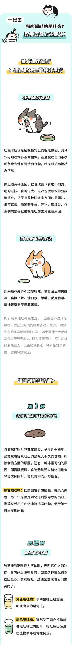 一张图判断,猫咪吐的到底是什么?要不要马上去医院!