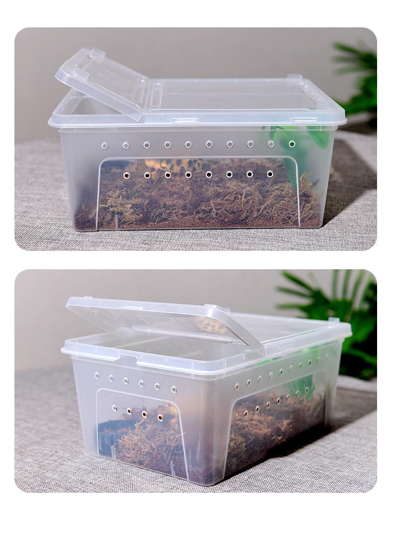 乌龟下蛋了怎么办