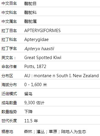 大斑几维鸟介绍 大斑几维知识及图片